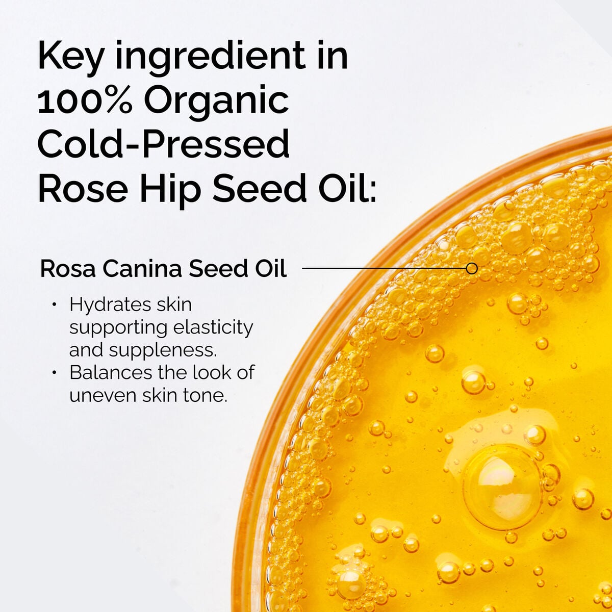 100-organic-cold-pressed-rose-hip-seed-oil-y3 FY25-D41247-ORD-Web-PDP-100-Rose-Hip-Oil-1x1-EN-2.jpg