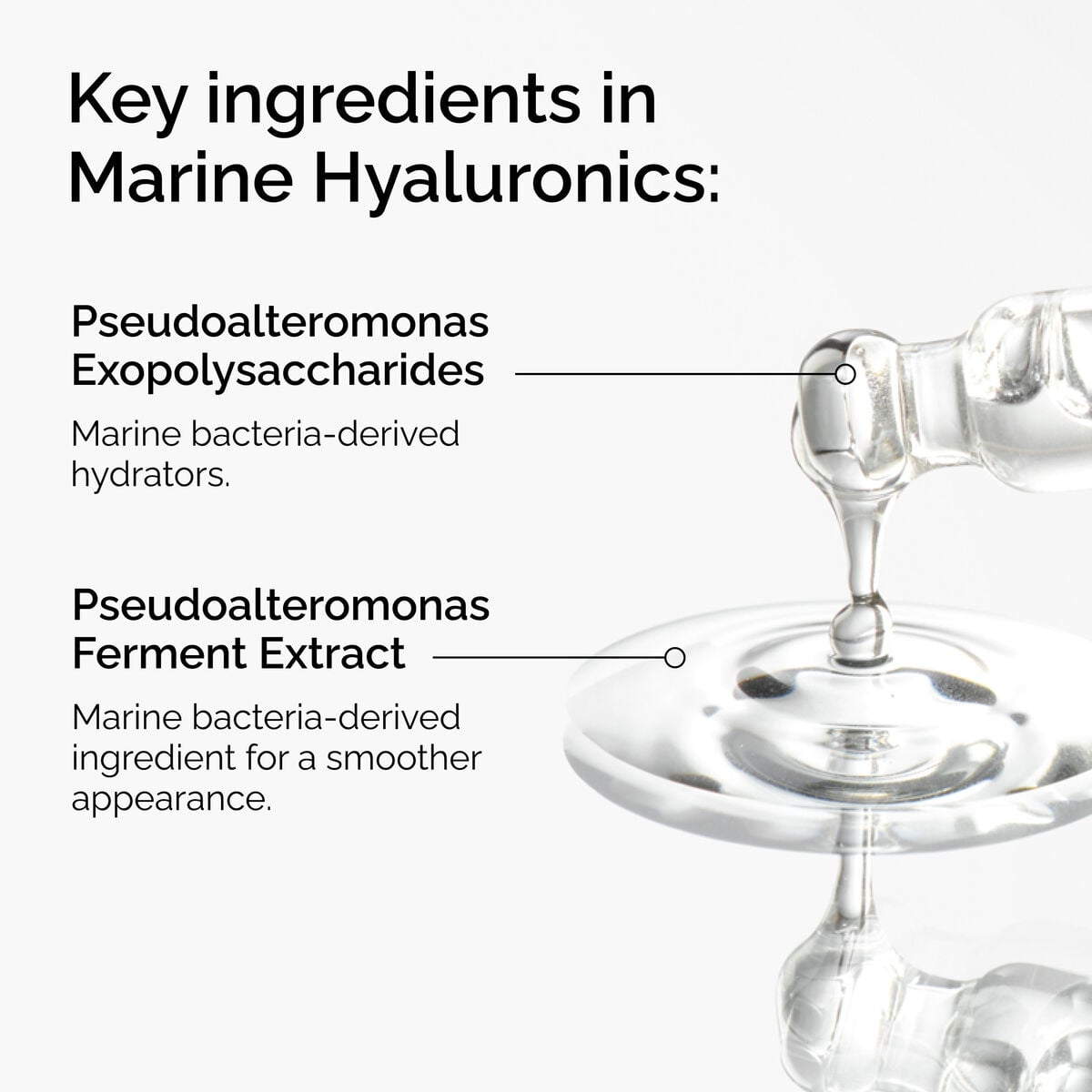 marine-hyaluronics-q1 FY25-D41247-ORD-Web-PDP-Marine-Hya-1x1-EN-2a.jpg