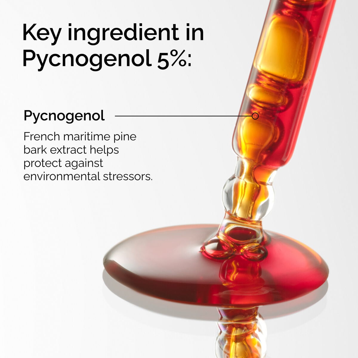 pycnogenol-5-o2 FY25-D41247-ORD-Web-PDP-Pyc-5pct-1x1-EN-2a.jpg