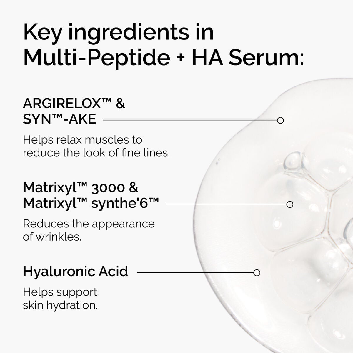 the-age-support-set-w0 ord-multi-peptide-ha-ingredients-graphic.jpg