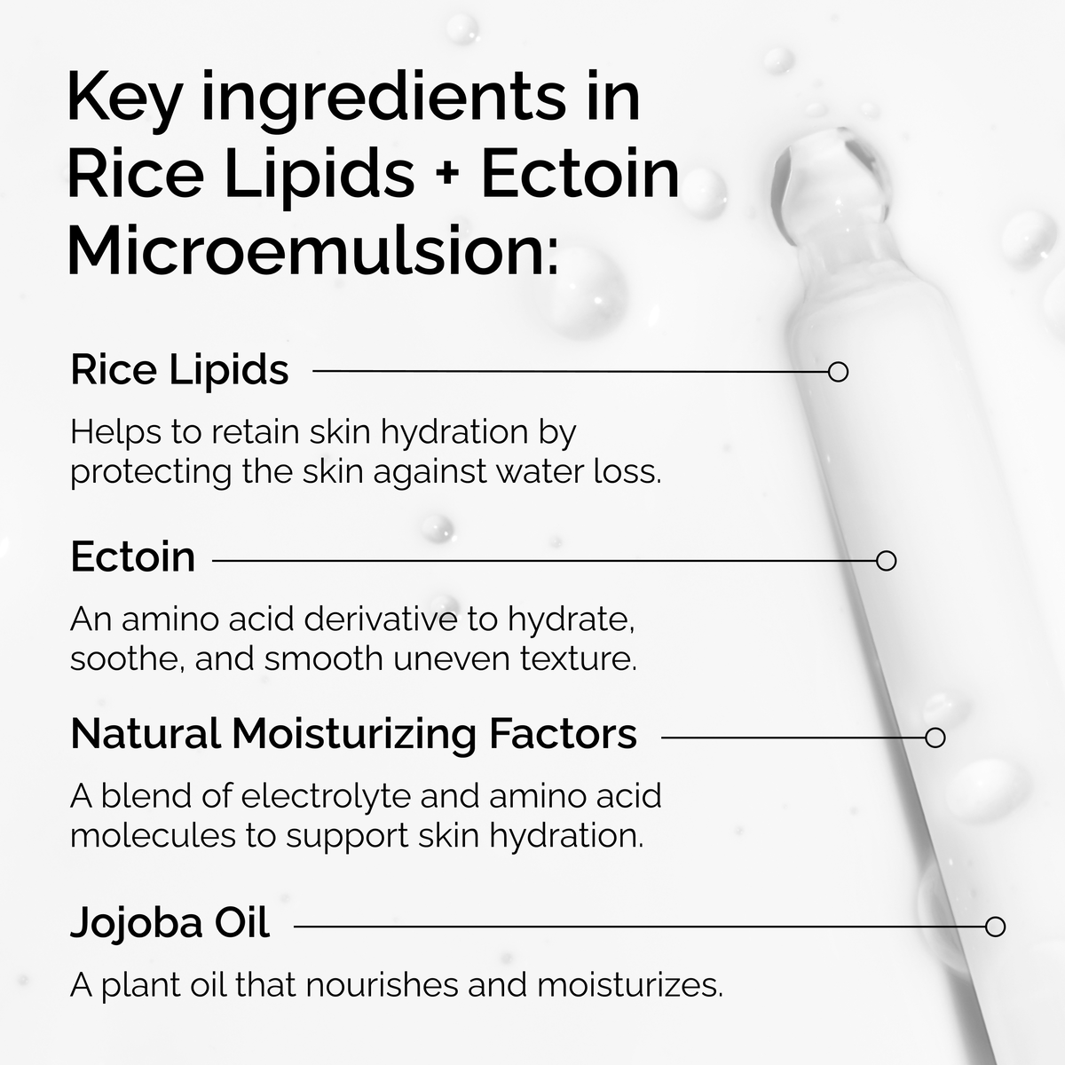 rice-lipids-ectoin-microemulsion-o2 ord-rice-lipids-ectoin-microemulsion-key-ingredients.png