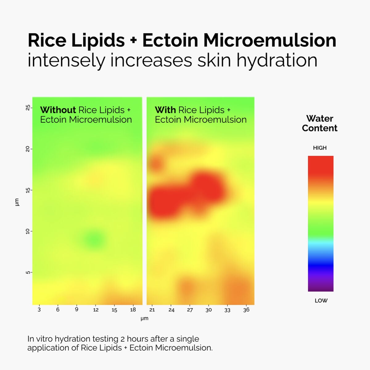 rice-lipids-ectoin-microemulsion-o2 ord-rice-lipids-ectoin-microemulsion-thermal-before-after.jpg